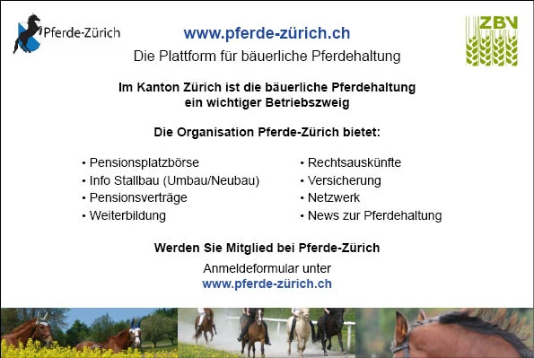 pferde zuerich